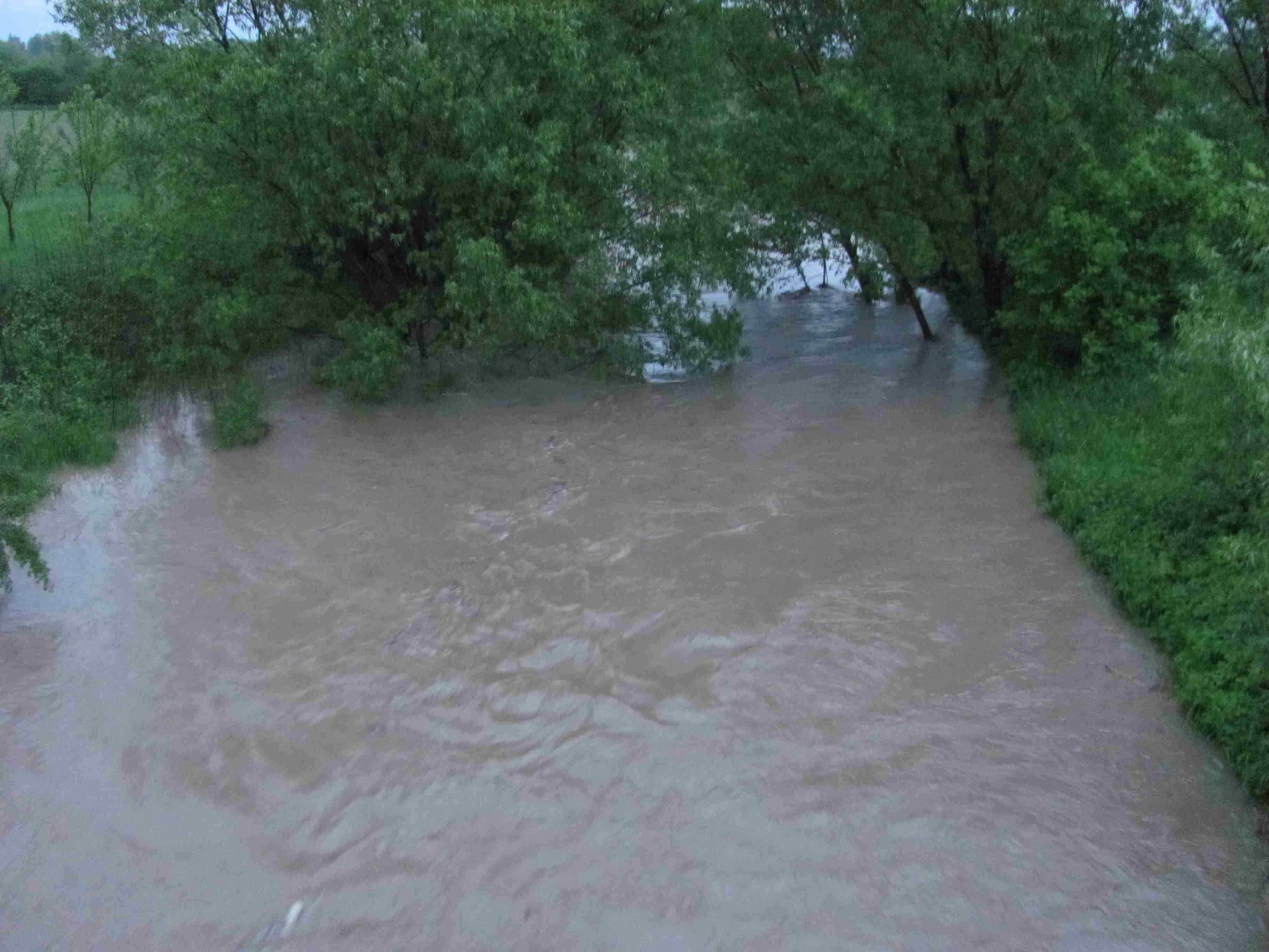 Pondělí 17.5.2010 015.jpg
